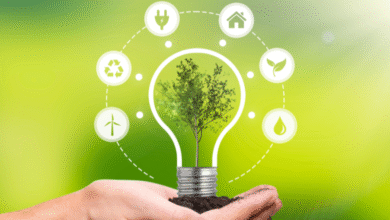 How Technology Helps the Environment