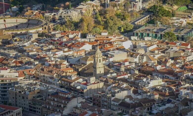 competitive market analysis overview